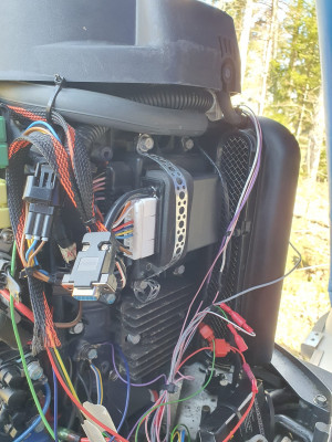 WhatsApp Image 2024-05-17 at 08.26.32.jpeg