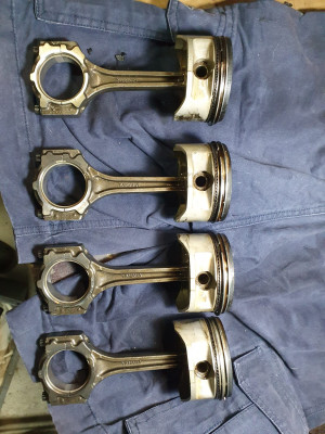 WhatsApp Image 2024-09-17 at 08.53.35.jpeg