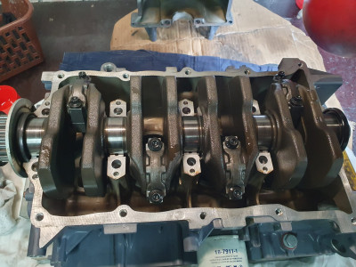 WhatsApp Image 2024-09-26 at 09.13.41.jpeg