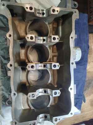 WhatsApp Image 2024-09-26 at 09.13.44.jpeg